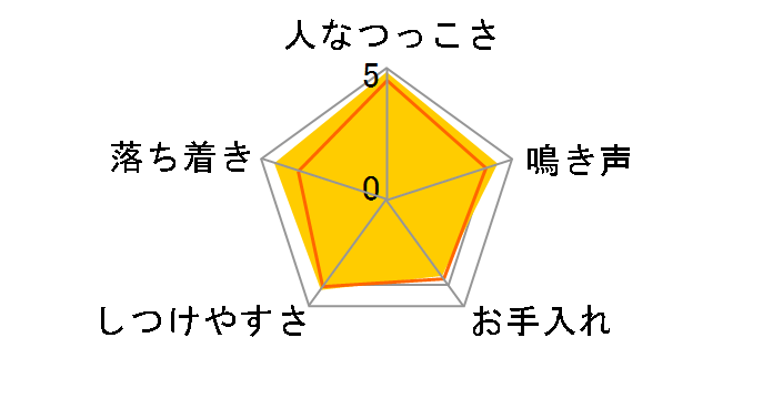 �V�[�E�Y�[�̃��[�U�[���r���[