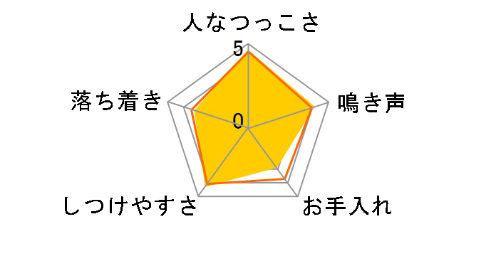 �g�C�E�v�[�h���̃��[�U�[���r���[