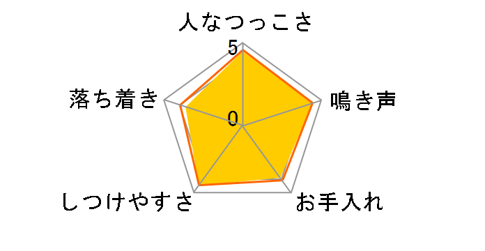 �Z�~�R�r�[ �A�����J���V���[�g�w�A�̃��r���[
