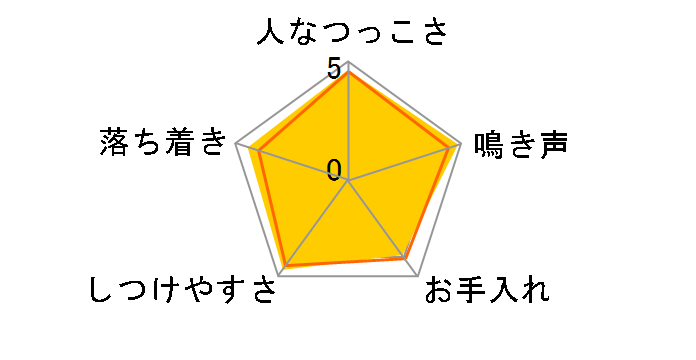 �Z�~�R�r�[ �u���e�B�b�V���V���[�g�w�A�̃��r���[