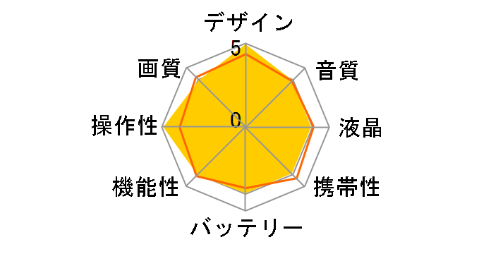 DCR-PC300K̃[U[r[