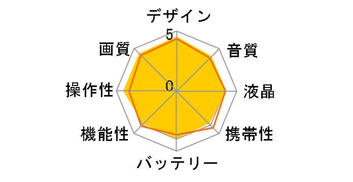 DCR-SR100̃[U[r[