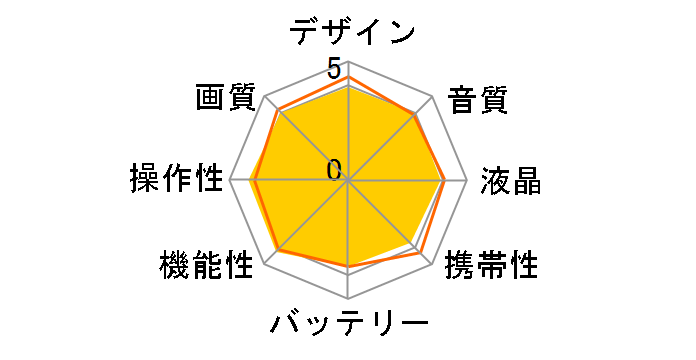 DCR-SR300�̃��[�U�[���r���[