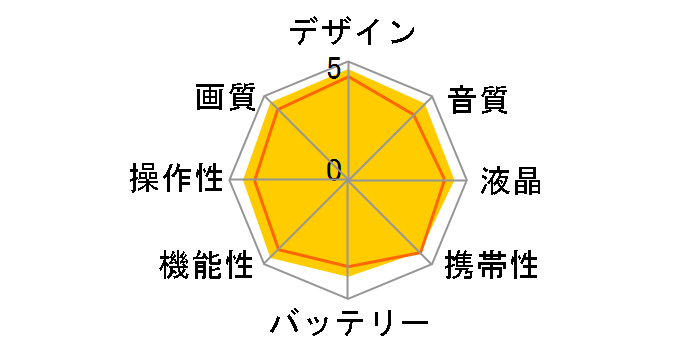 HDC-HS300̃[U[r[